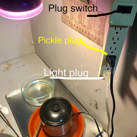 Here is a tip for those of us who forget to turn off the pickle pot 🙋‍♀️🤦‍♀️ from @wiredlotus - “I have this tip for a...