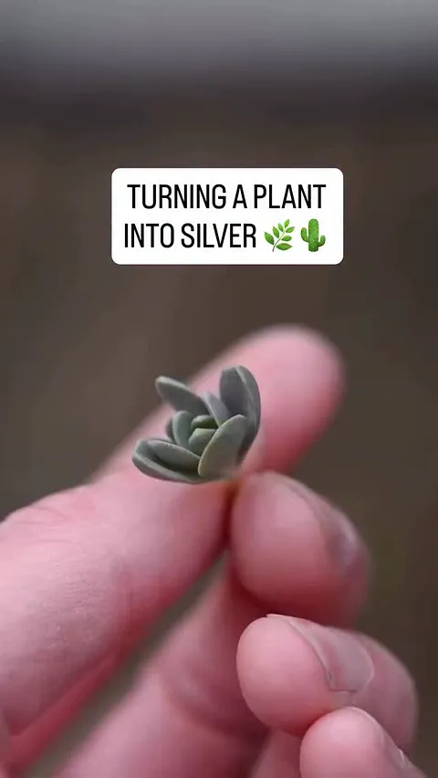 Ever wondered how jewelers cast plants? 🌿 Here’s how @affinitysilverworks explains it:

“This is a modification of lost...