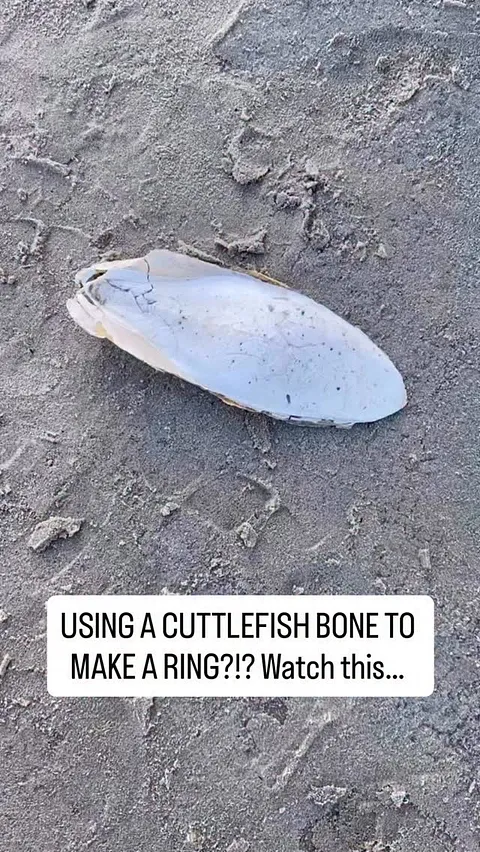 Cuttlefish Bone Ring Casting from @jewelrystudio_47 🐚✨

“While walking along the shore, I came across cuttlebone fragments...
